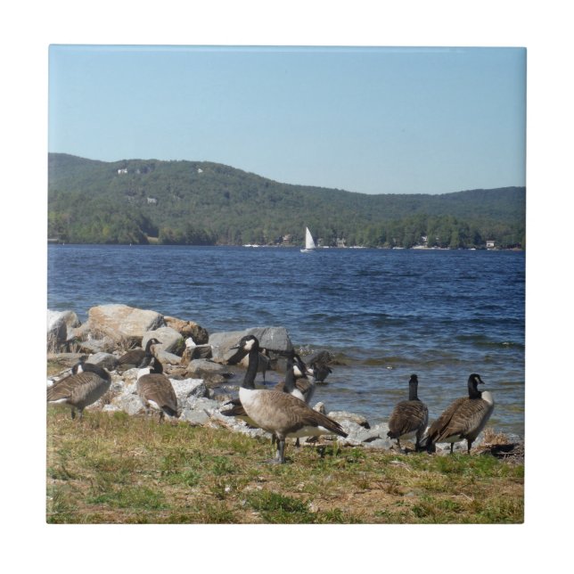 Geese and Lake with Sailboat Tile (Front)