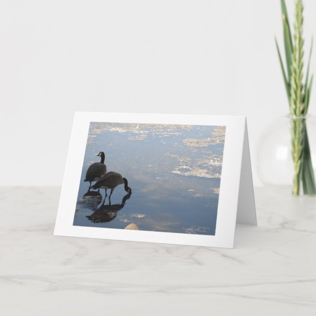 geese and reflection card (Front)