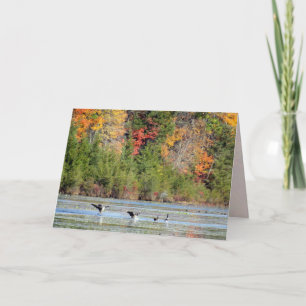 Geese at Helmetta Park - NJ Card