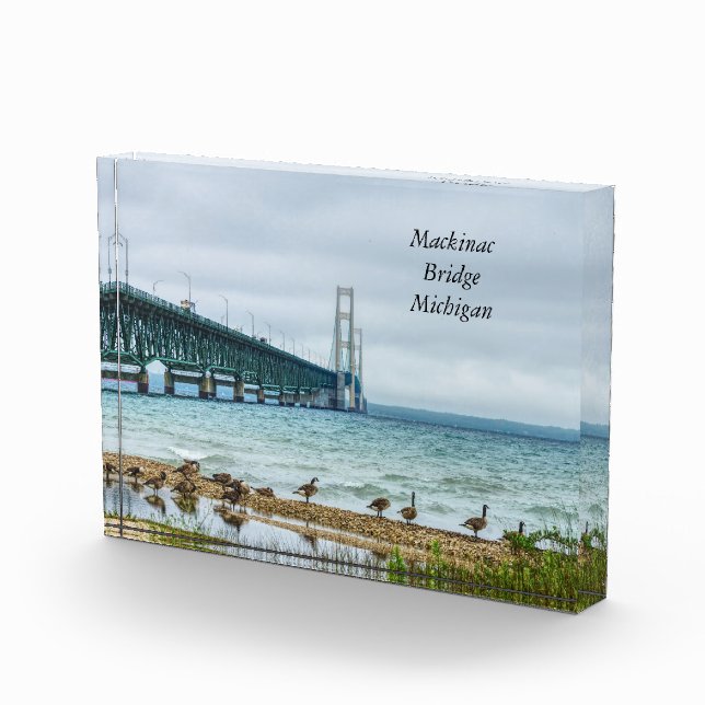 Geese At Mighty Mac Photo Block (Right)