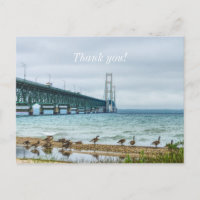 Geese At Mighty Mac Thank you