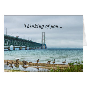 Geese At Mighty Mac Thinking Of You