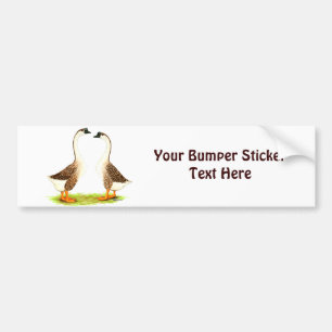 Geese:  Brown Chinese Bumper Sticker