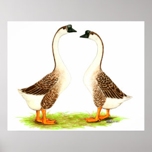 Geese: Brown Chinese Poster