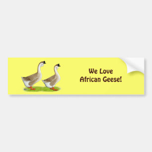Geese:  Buff African Bumper Sticker