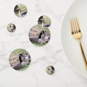 Geese Confetti