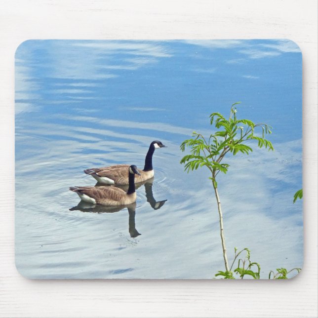 Geese Enjoying a Swim Mouse Mat (Front)