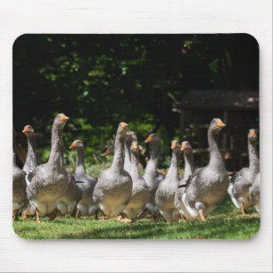 Geese in the Dordogne mousepad