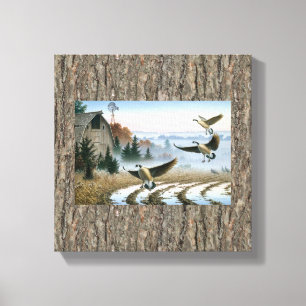 Geese In The Farm Field Canvas Print