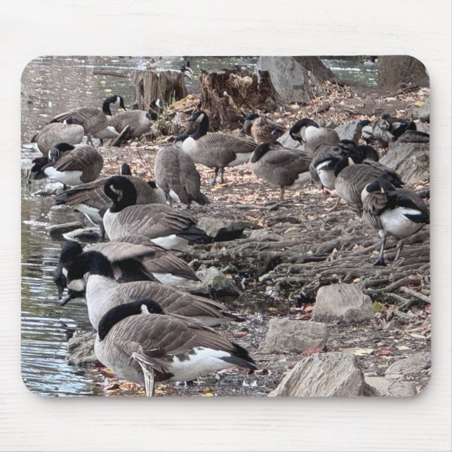 Geese in the Park Mouse Pad (Front)