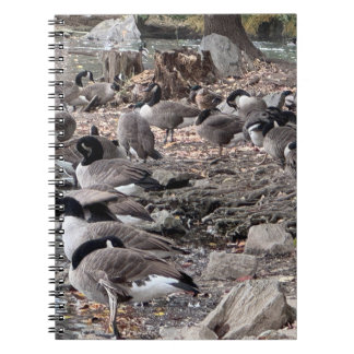 Geese in the Park Notebook