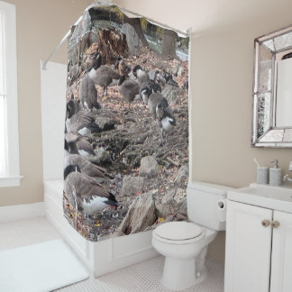 Geese in the Park Shower Curtain