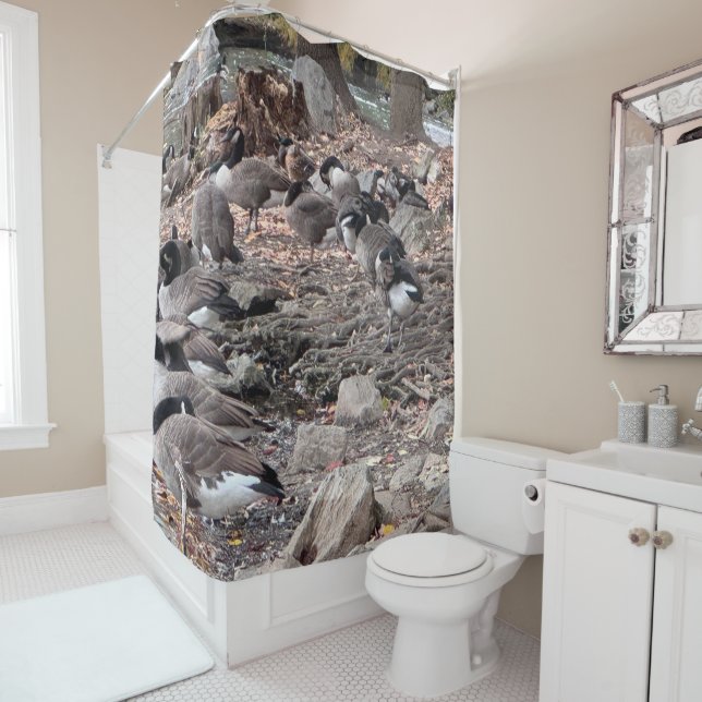 Geese in the Park Shower Curtain (In Situ)