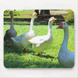 Geese Mouse Mat