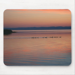 Geese Mouse Mat