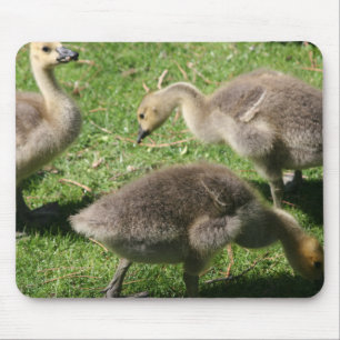 Geese on the Grass Mouse Mat