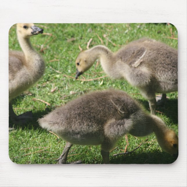 Geese on the Grass Mouse Mat (Front)