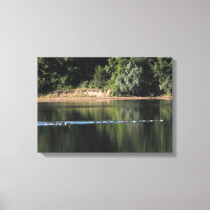 Geese on the Lake Picture Canvas Print