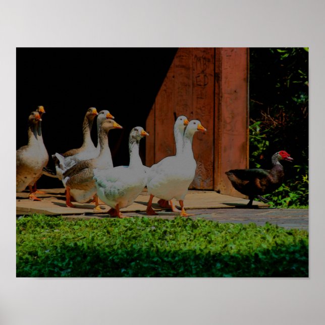 Geese On The March Animal Art Poster (Front)