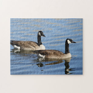 Geese on water jigsaw puzzle