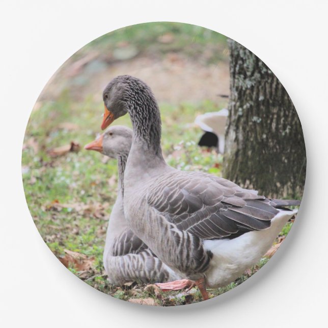 Geese  paper plate (Front)