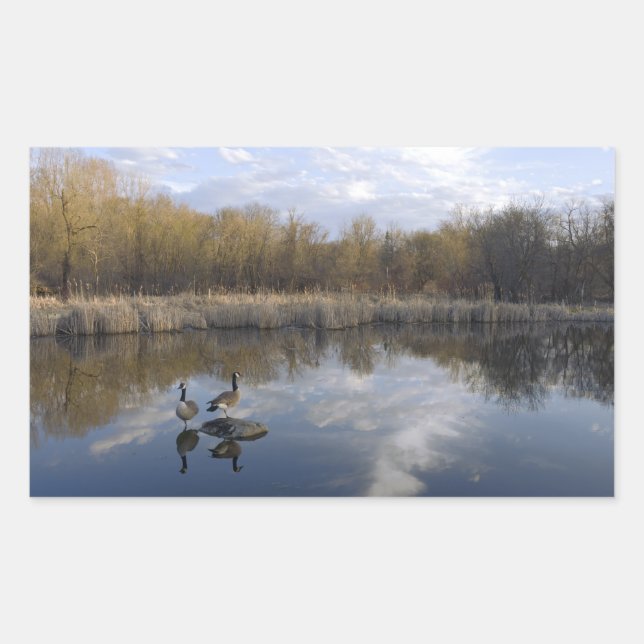 Geese Perch at Park in West Saint Paul Rectangular Sticker (Front)
