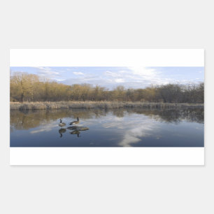 Geese Perch at Park in West Saint Paul Rectangular Sticker