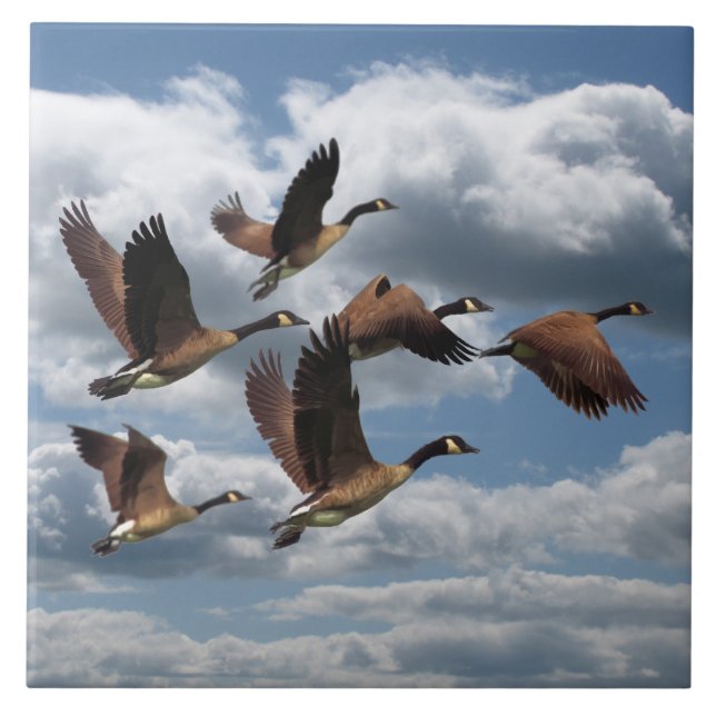 GEESE TILE (Front)