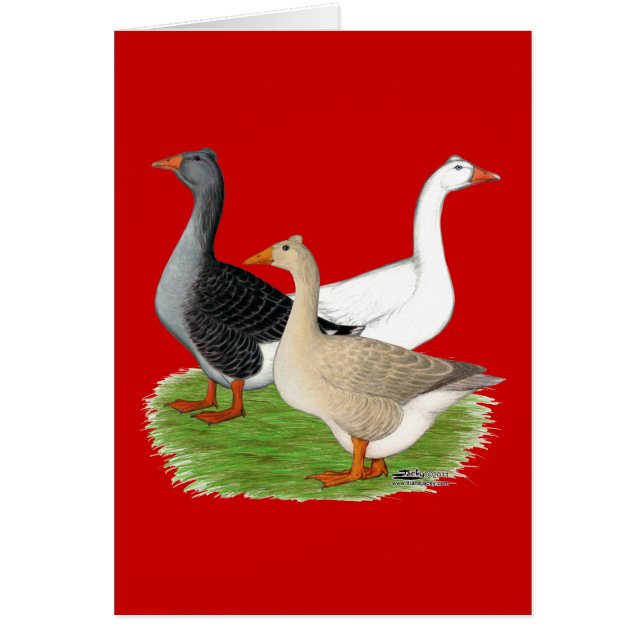 Geese:  Tufted Trio (Front)