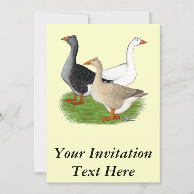 Geese:  Tufted Trio Invitation (Front)