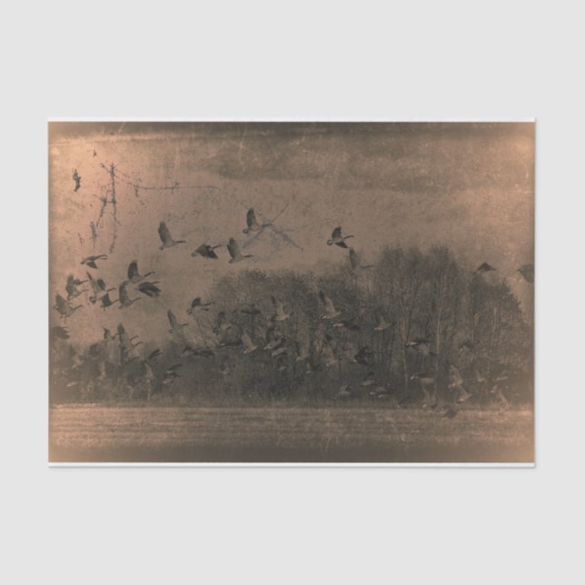 Geese Vintage Antique Brown Texture Sunset Tissue Paper (Front)