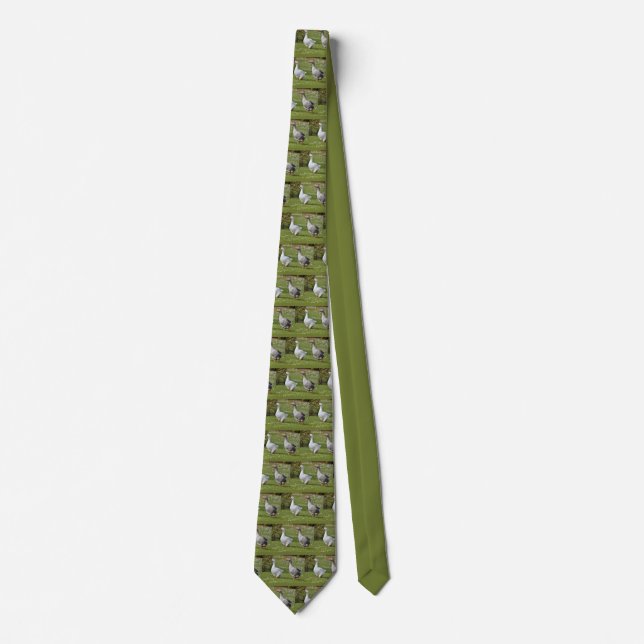 Geese walking on grass tie (Front)