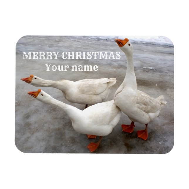 Geese white   magnet (Horizontal)