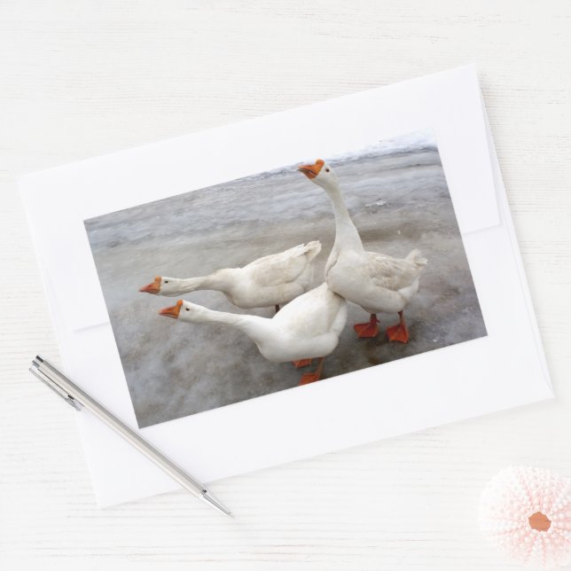 Geese white rectangular sticker (Envelope)