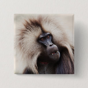 Gelada Baboon, Ethiopia 15 Cm Square Badge