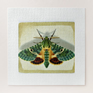 gelechiid moth 220924IREF212 - Watercolor Jigsaw Puzzle