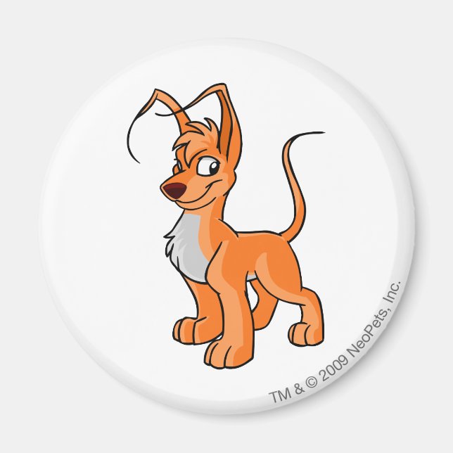 Gelert Orange Magnet (Front)