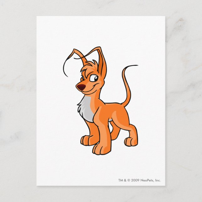 Gelert Orange Postcard (Front)
