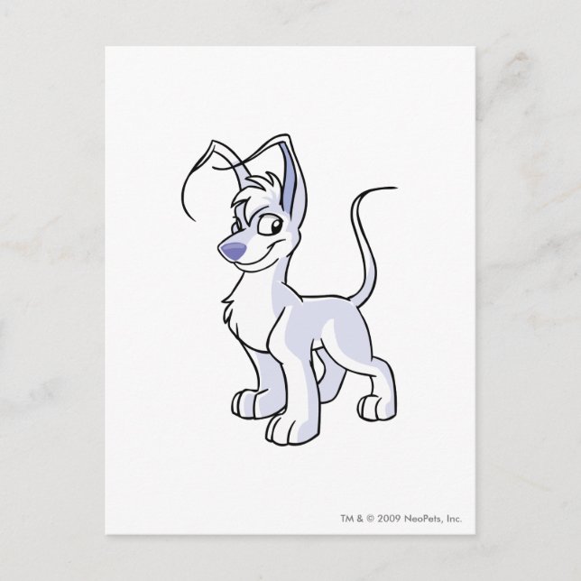 Gelert White Postcard (Front)