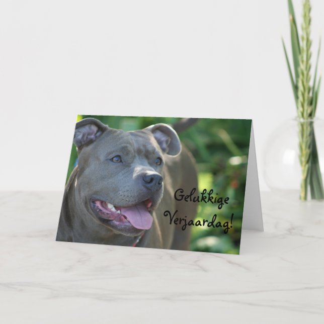 Gelukkige Verjaardag Pitbull dog greeting card (Front)