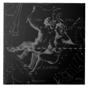 Gemini Constellation Map Hevelius 1690 on Black Tile