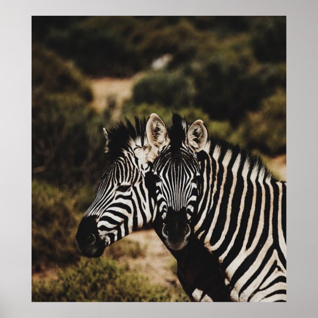 GEMINI POSTER (Front)