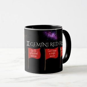 Gemini Red Flags Astrology Mug Funny Zodiac Gift