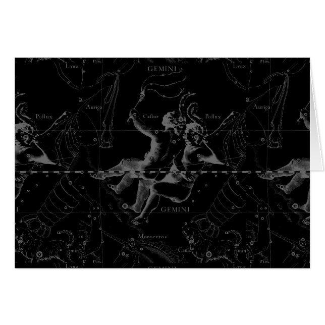 Gemini Zodiac Constellation Hevelius 1690 (Front Horizontal)
