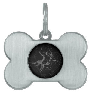 Gemini Zodiac Constellation Hevelius 1690 Pet ID Tag