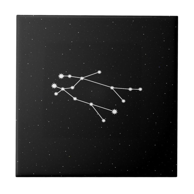 Gemini Zodiac Constellation Modern Black & White Tile (Front)