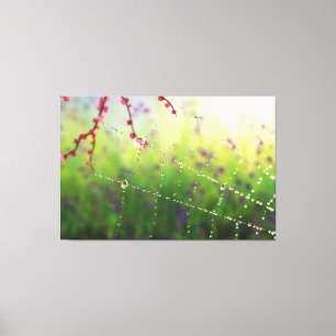 Gems of a Spring Morning Canvas Print
