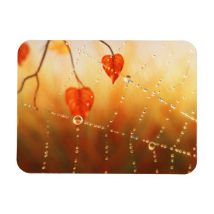 Gems of an Autumn Morning Flexible Magnet