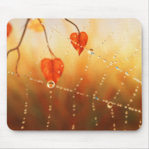 Gems of an Autumn Morning Mousepad