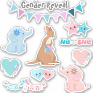 Gender Reveal Baby Pink Blue Set